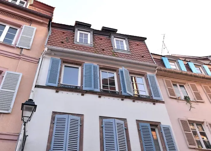 アパート Les Cigognes Du Centre コルマール