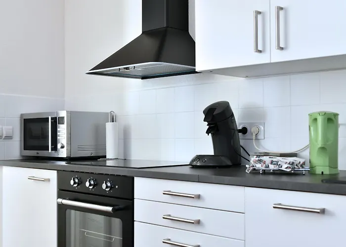 Les Cigognes Du Centre * コルマール