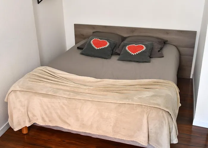 アパート Les Cigognes Du Centre